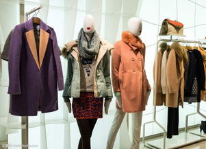 2023年6月嘉兴市区CPI服装服饰类价格指数分析